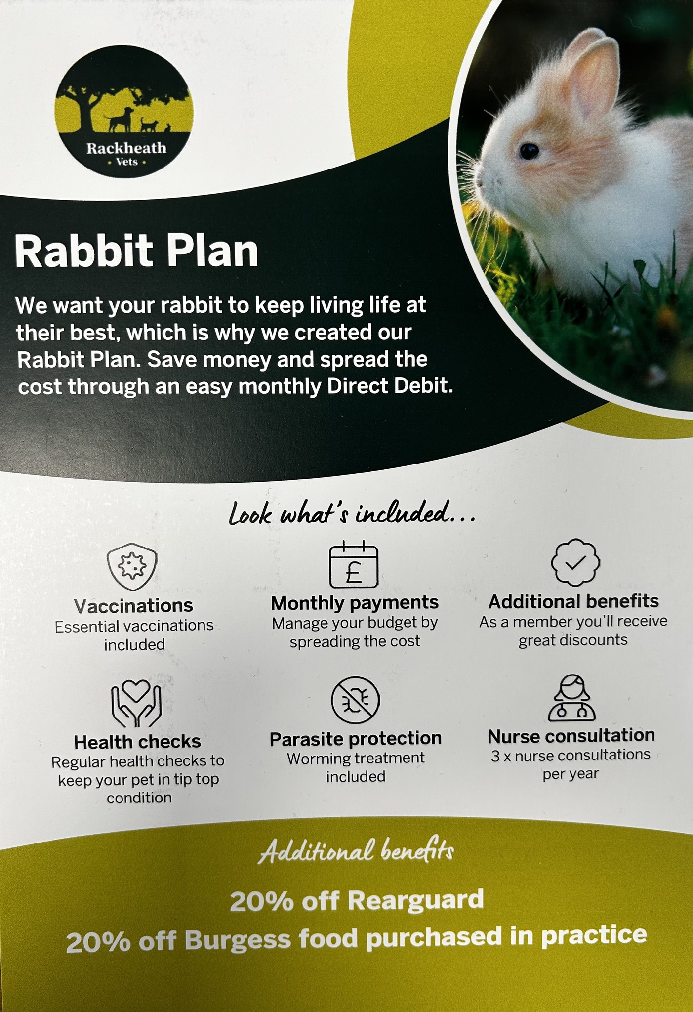 Rackheath Vets - 💚 Rabbit Health Care Plan 💚 We are now... | Facebook