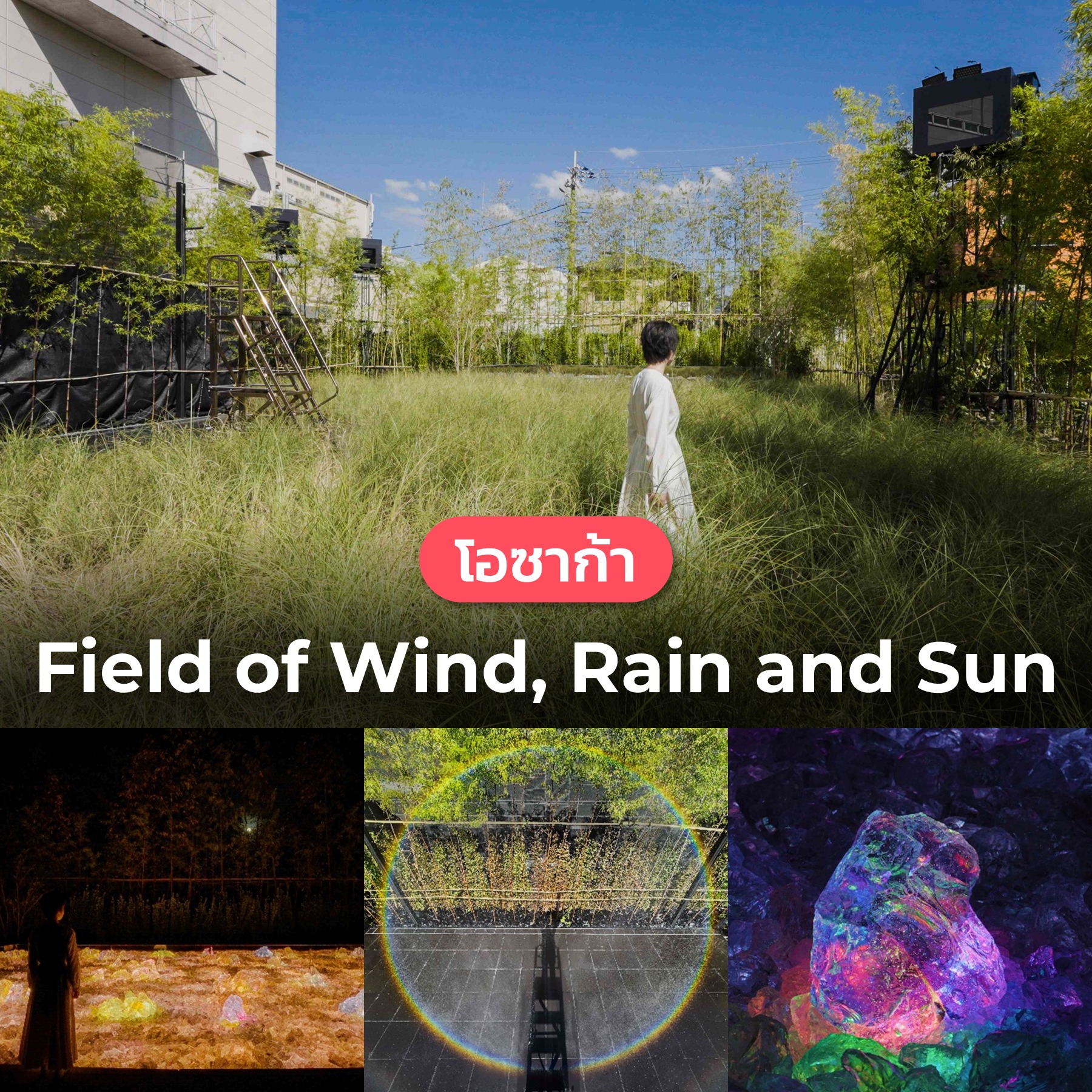 MeTrip - ⭐️ teamLab Field of Wind, Rain and Sun (โอซาก้า) ศิลปะกลางทุ่ง ...