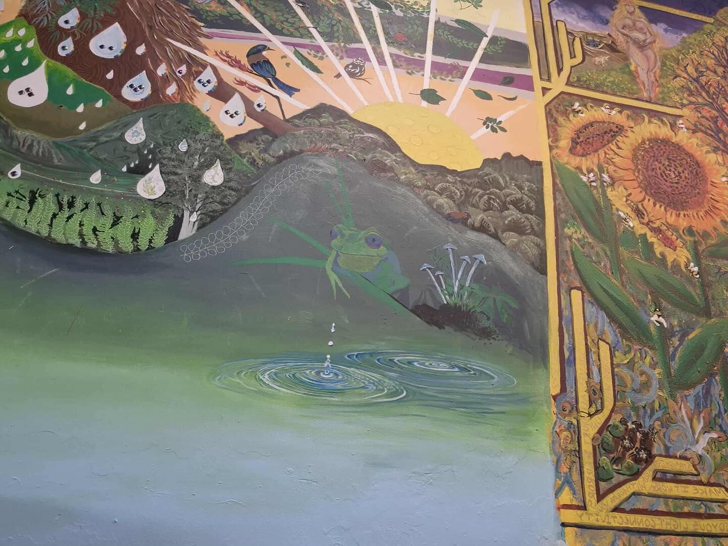 Deb Harding - Māori Ward Whangārei
