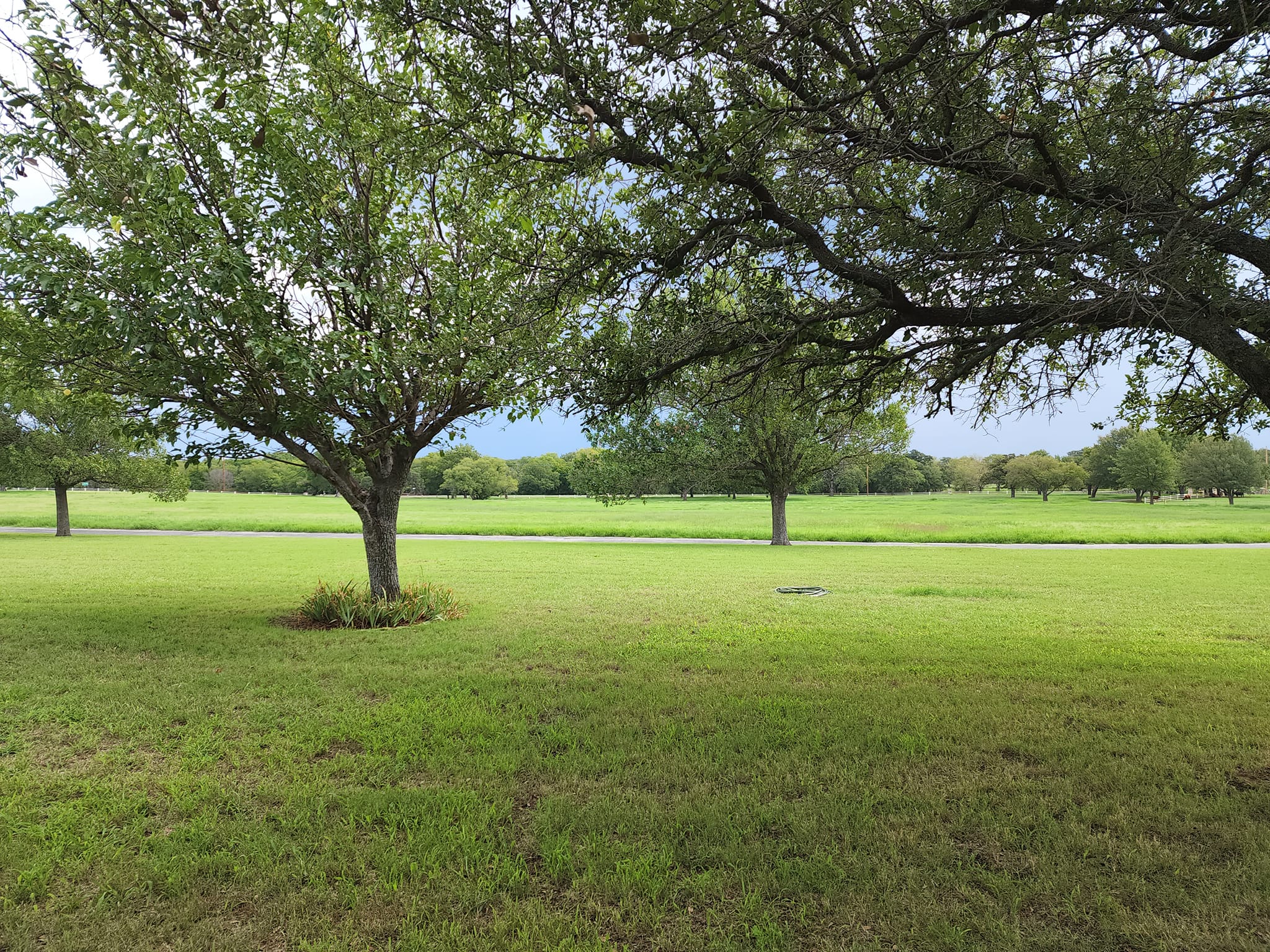 Comanche Rose Ranch | Nocona TX