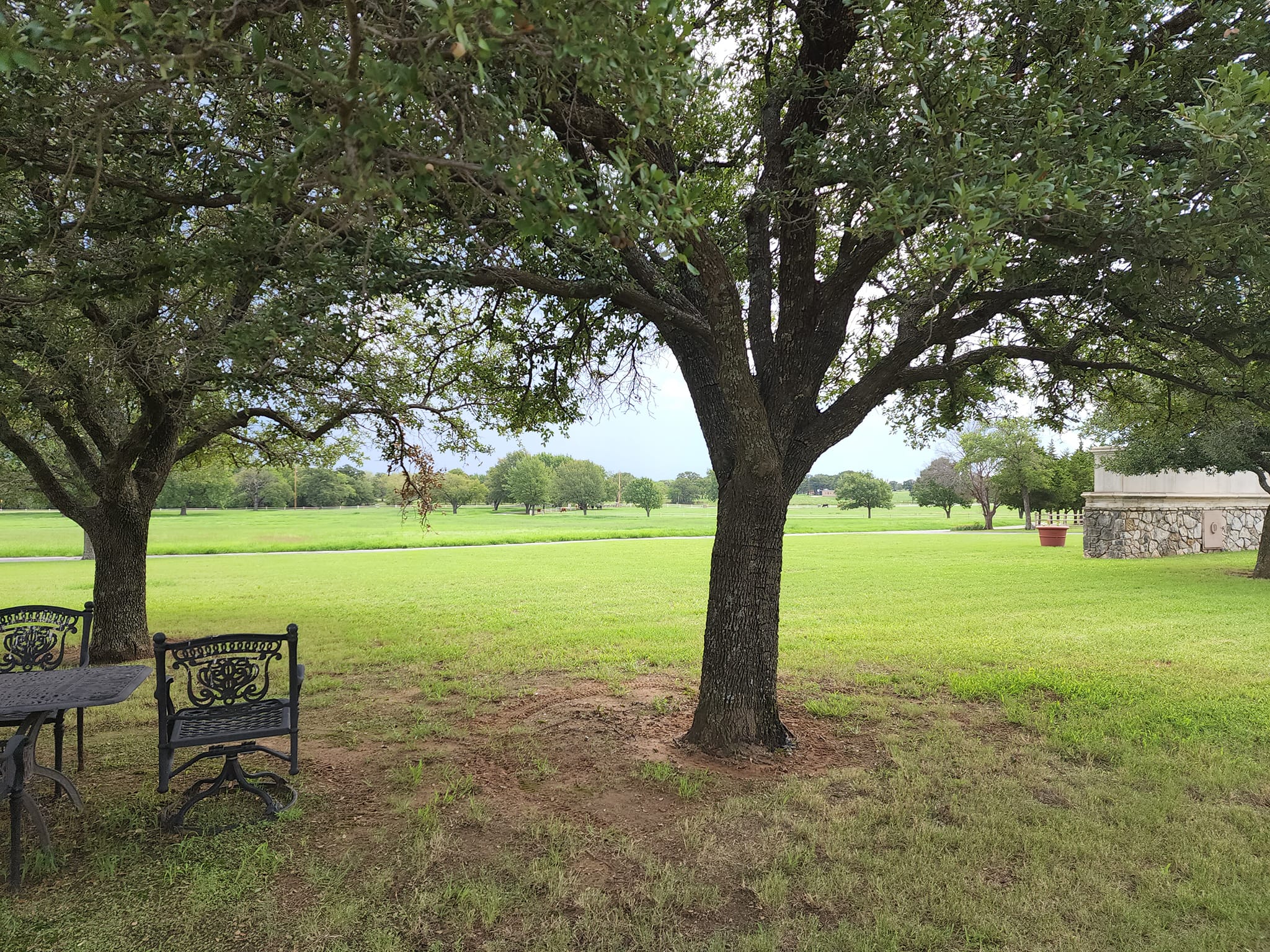 Comanche Rose Ranch | Nocona TX
