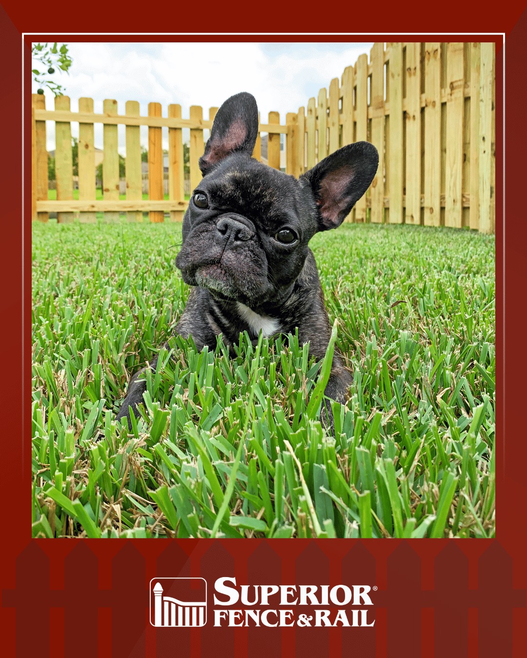 🐶 Ruff! It's National Mutt Day,... - Superior Fence & Rail | Facebook