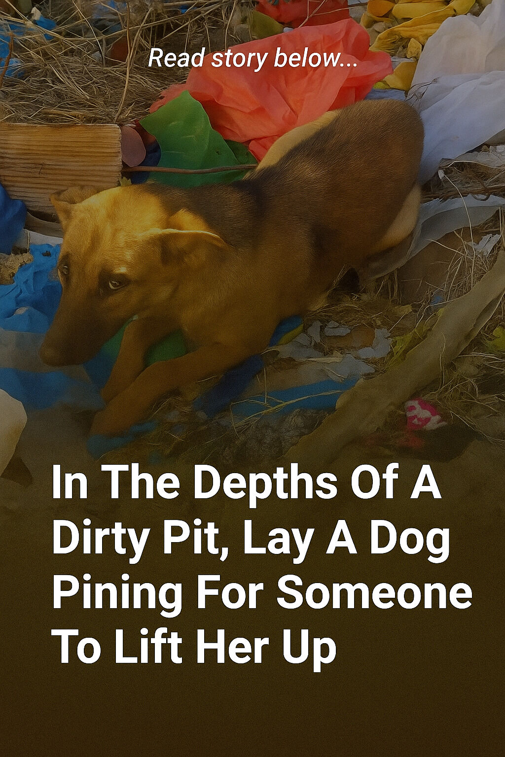 I Love - In the depths of a dry well filled with trash, an abandoned ...