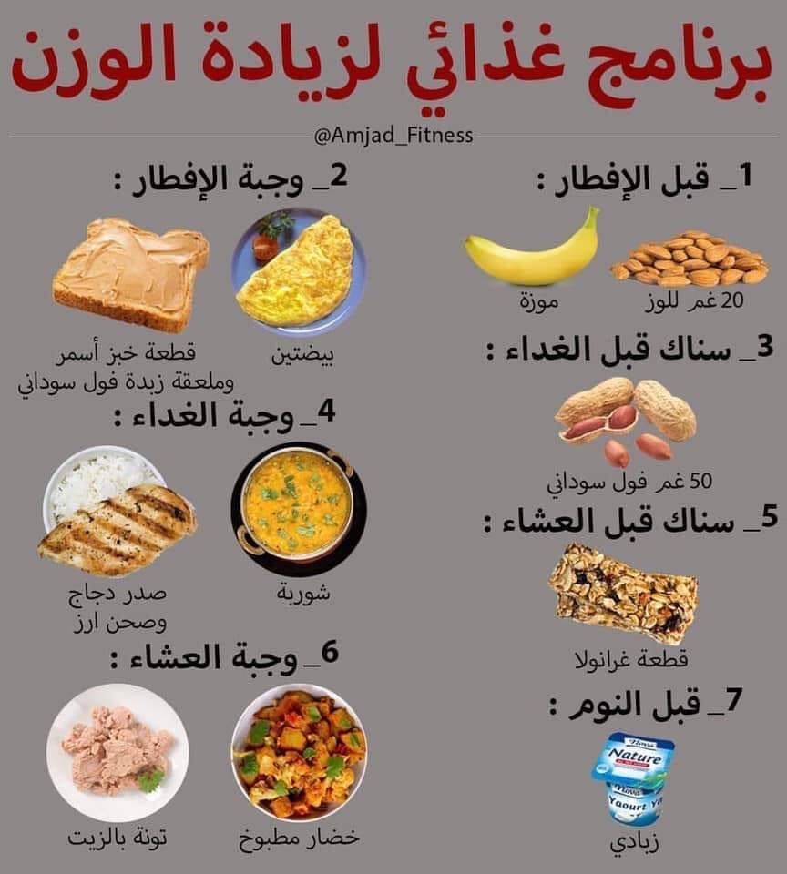 وجبة تمتص الكتان اكل لزيادة الوزن Thececiliaensemble Com