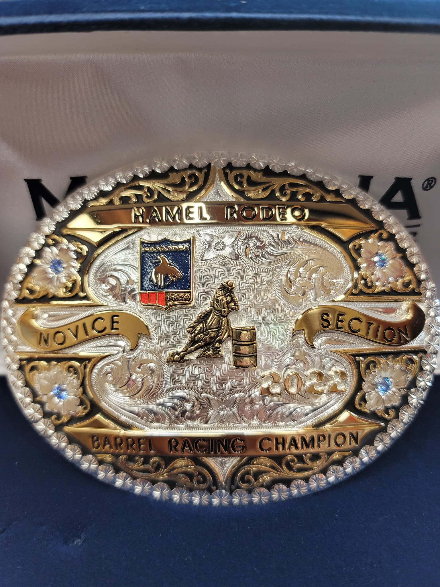 Hamel Rodeo & Bull... - Hamel Rodeo & Bull Ridin' Bonanza