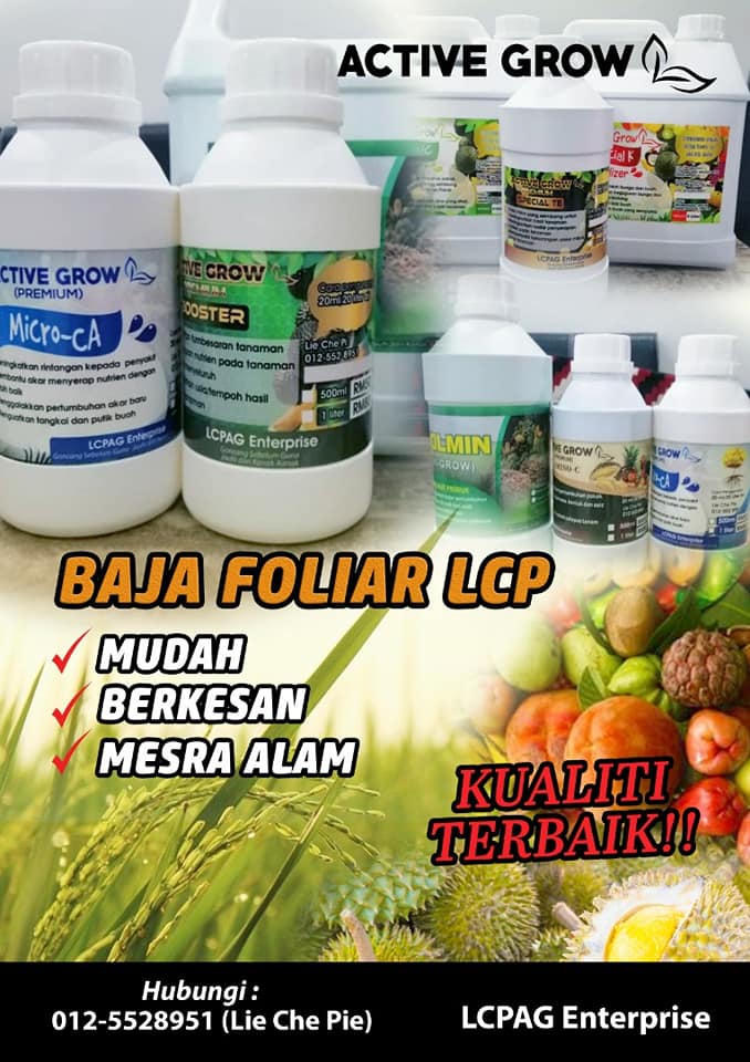 Baja Folia Lcp Kebun Luas Tanam Bnyk Kita Buka Harga Facebook
