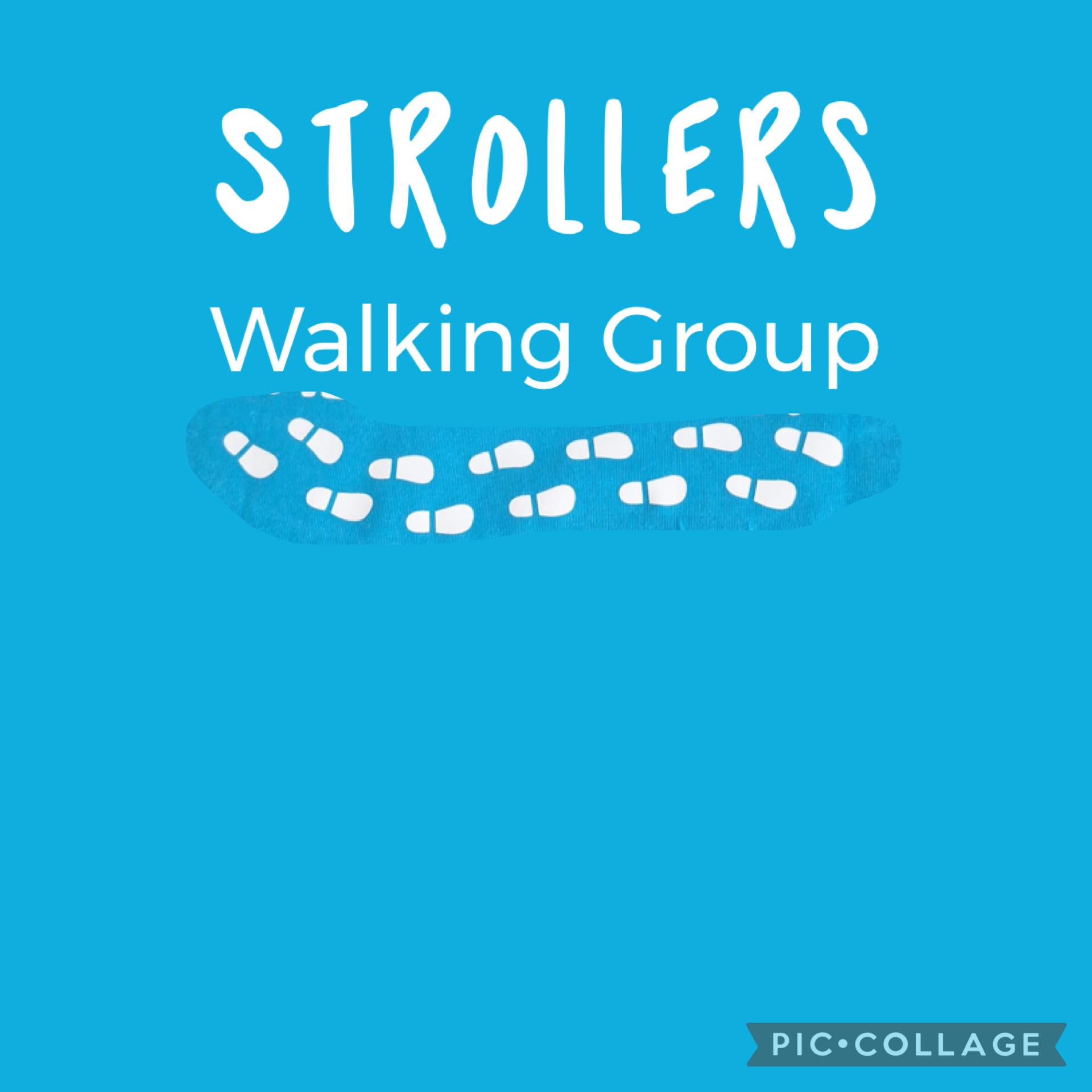 Strollers Walking Group | Plymouth