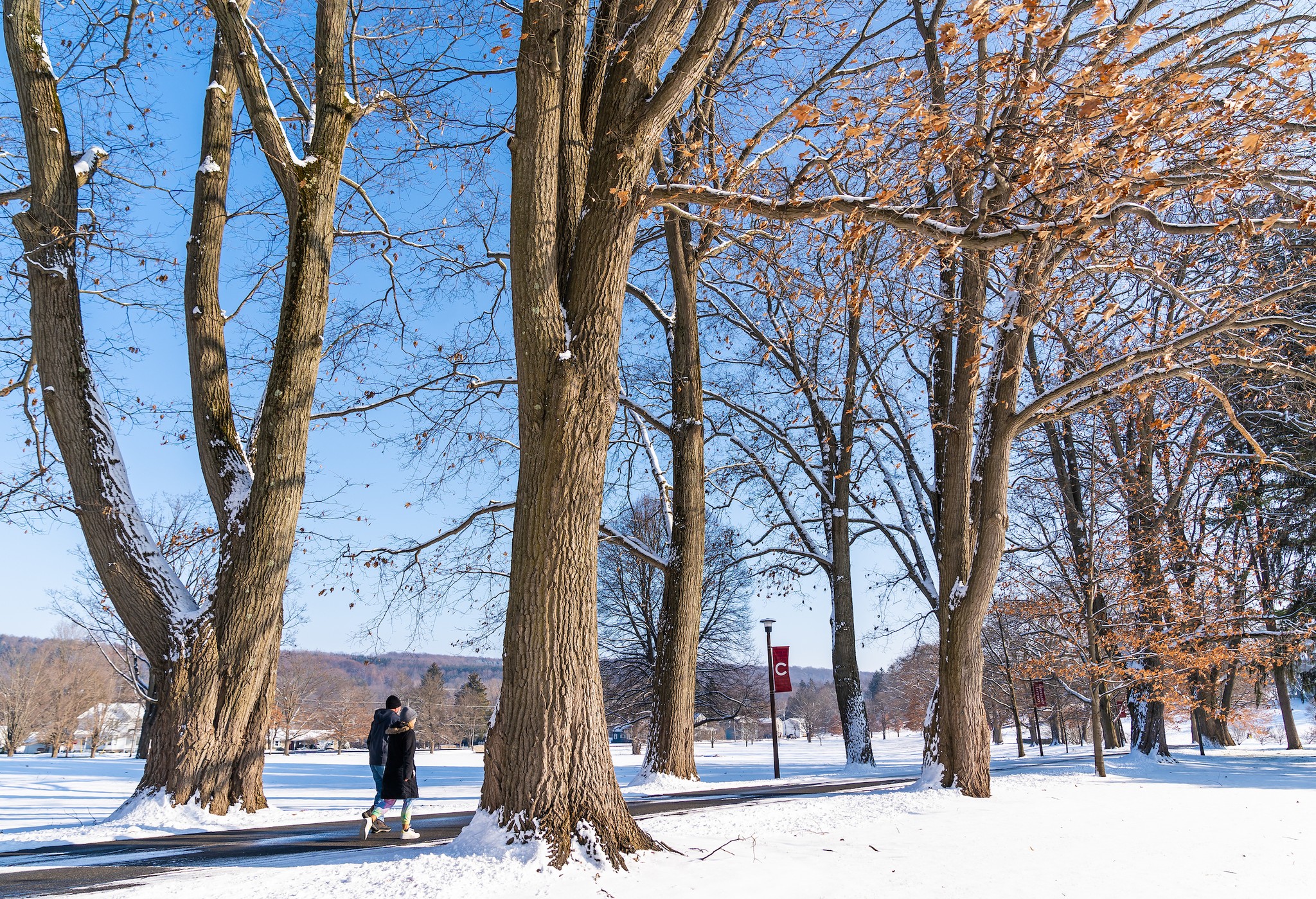 Welcome back, Raiders. Spring... - Colgate University