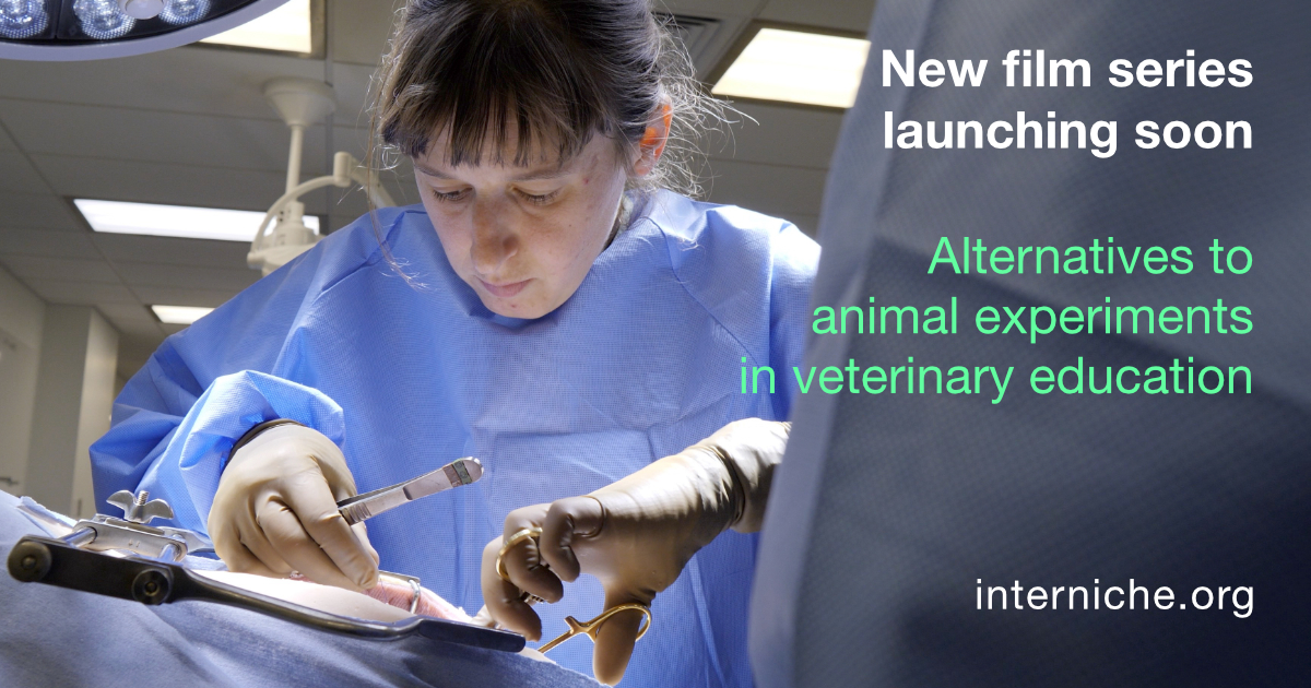 InterNICHE - It's the start of the countdown to the public...