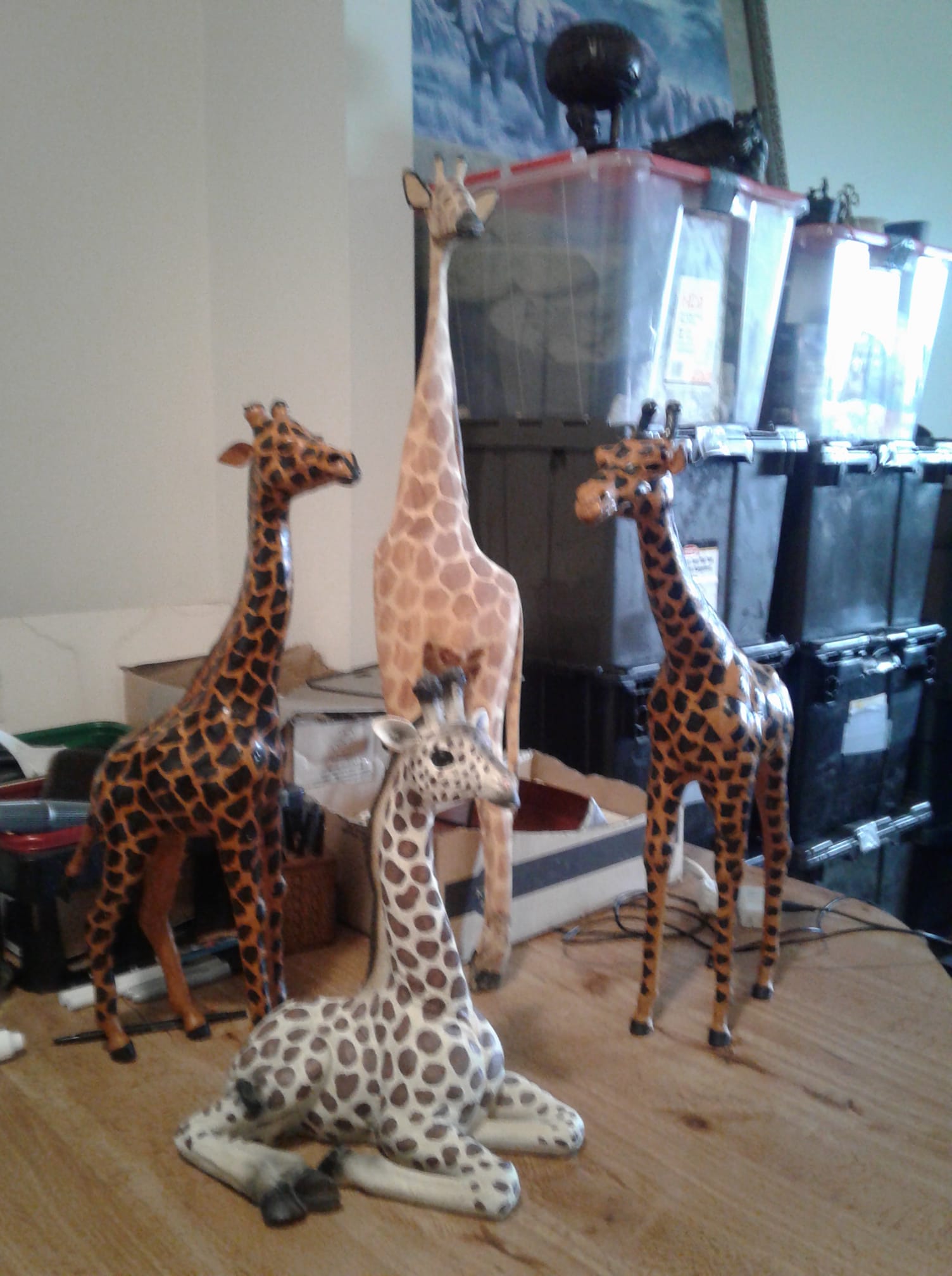 Huge giraffe found at Restore in Southport NC