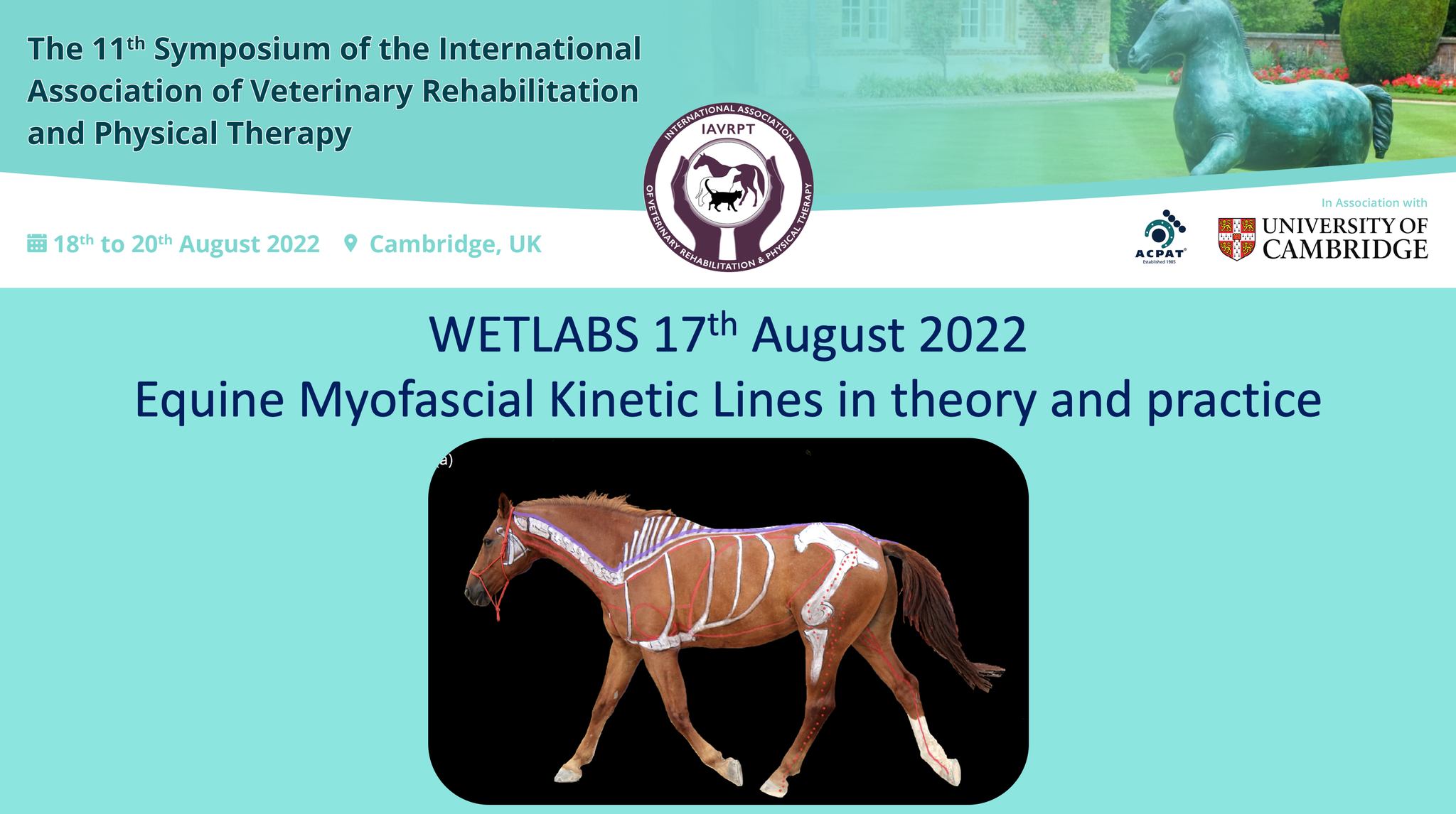 INTRODUCING OUR WETLABS Equine Myofascial Kinetic Lines in theory and ...