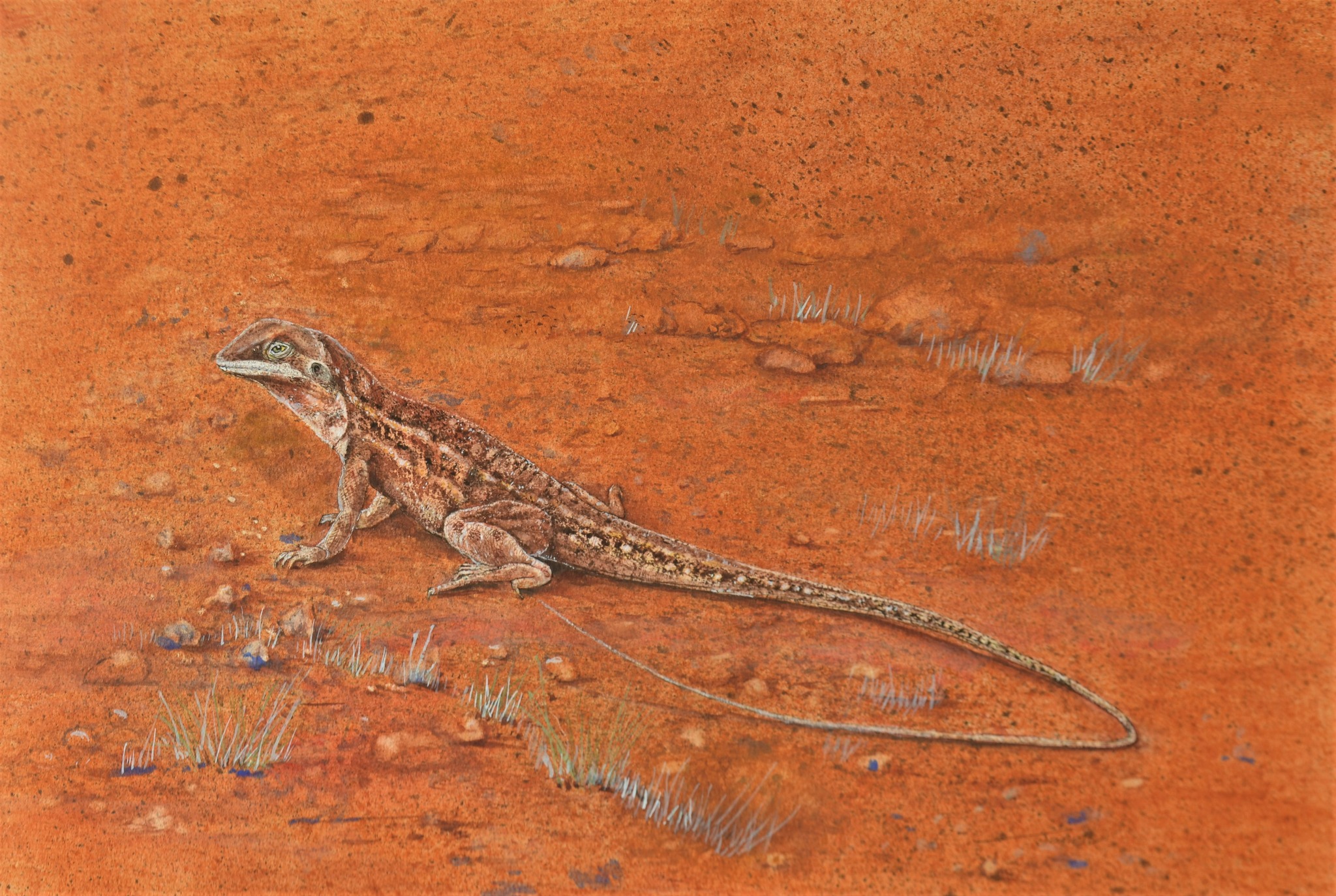 Jane - Good news my favourite art work was sold at Cossack art Award ...