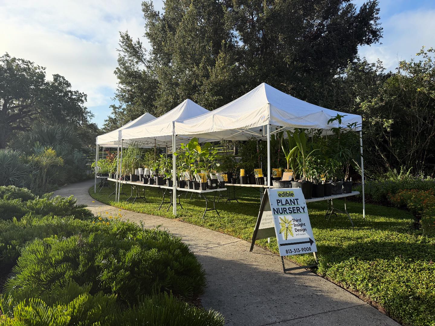 Third Insight Design and Nursery | Apollo Beach FL