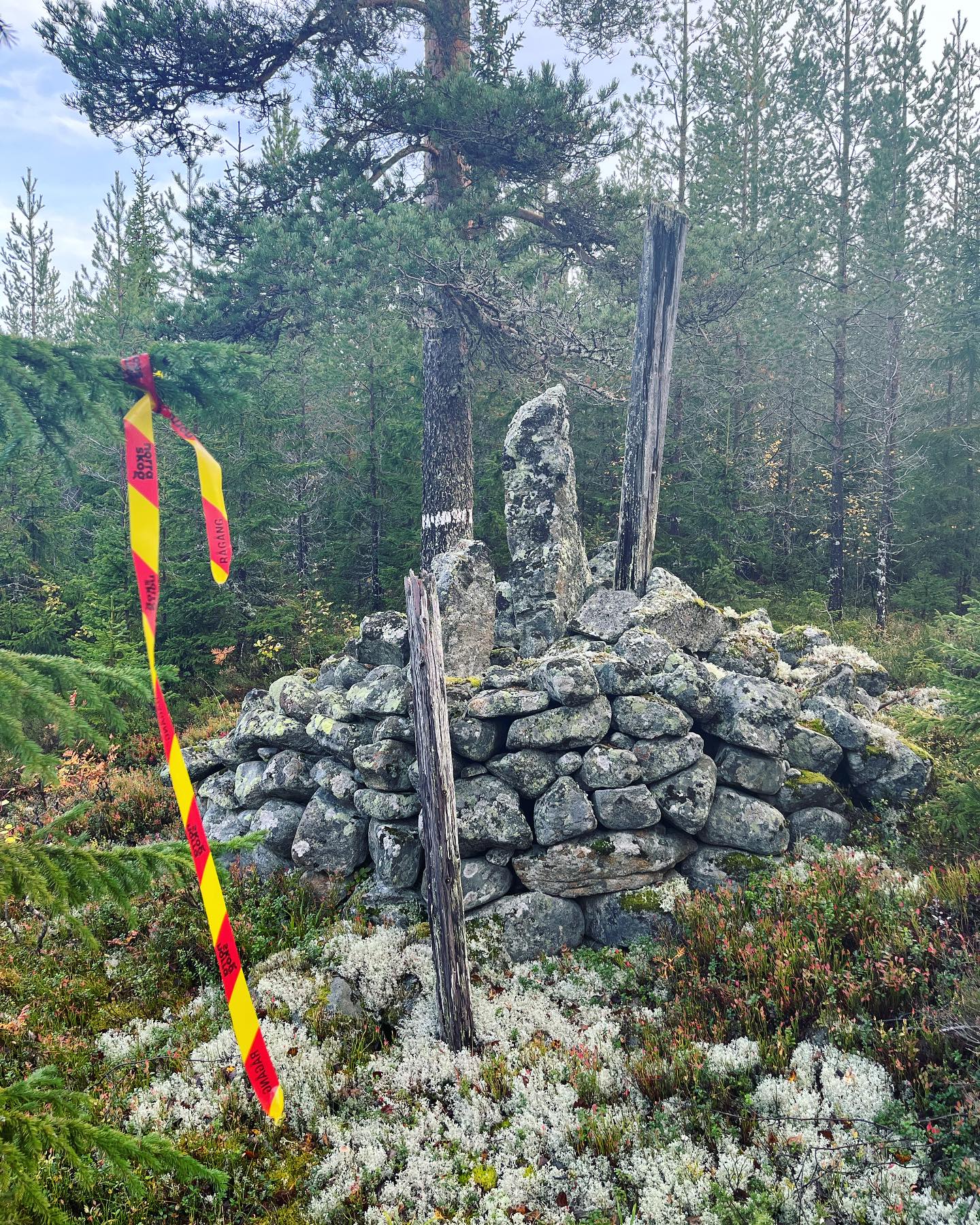 Hörnsjö Skog & Maskin AB | Hörnsjö