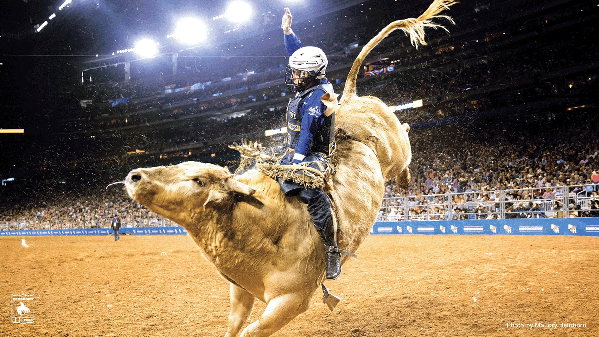 Houston Livestock Show and Rodeo | Houston TX