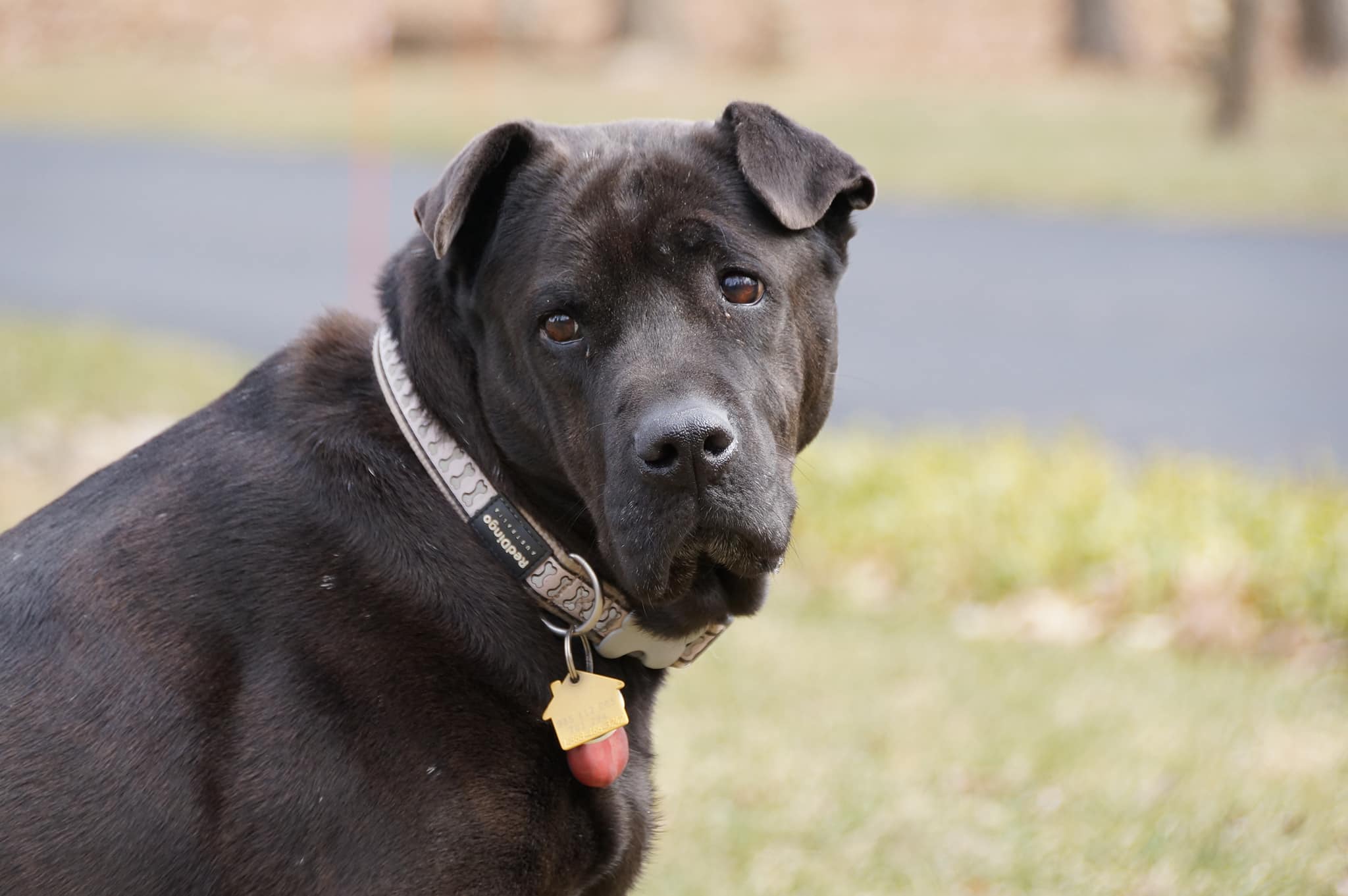 Smith Ridge Veterinary Center | South Salem NY