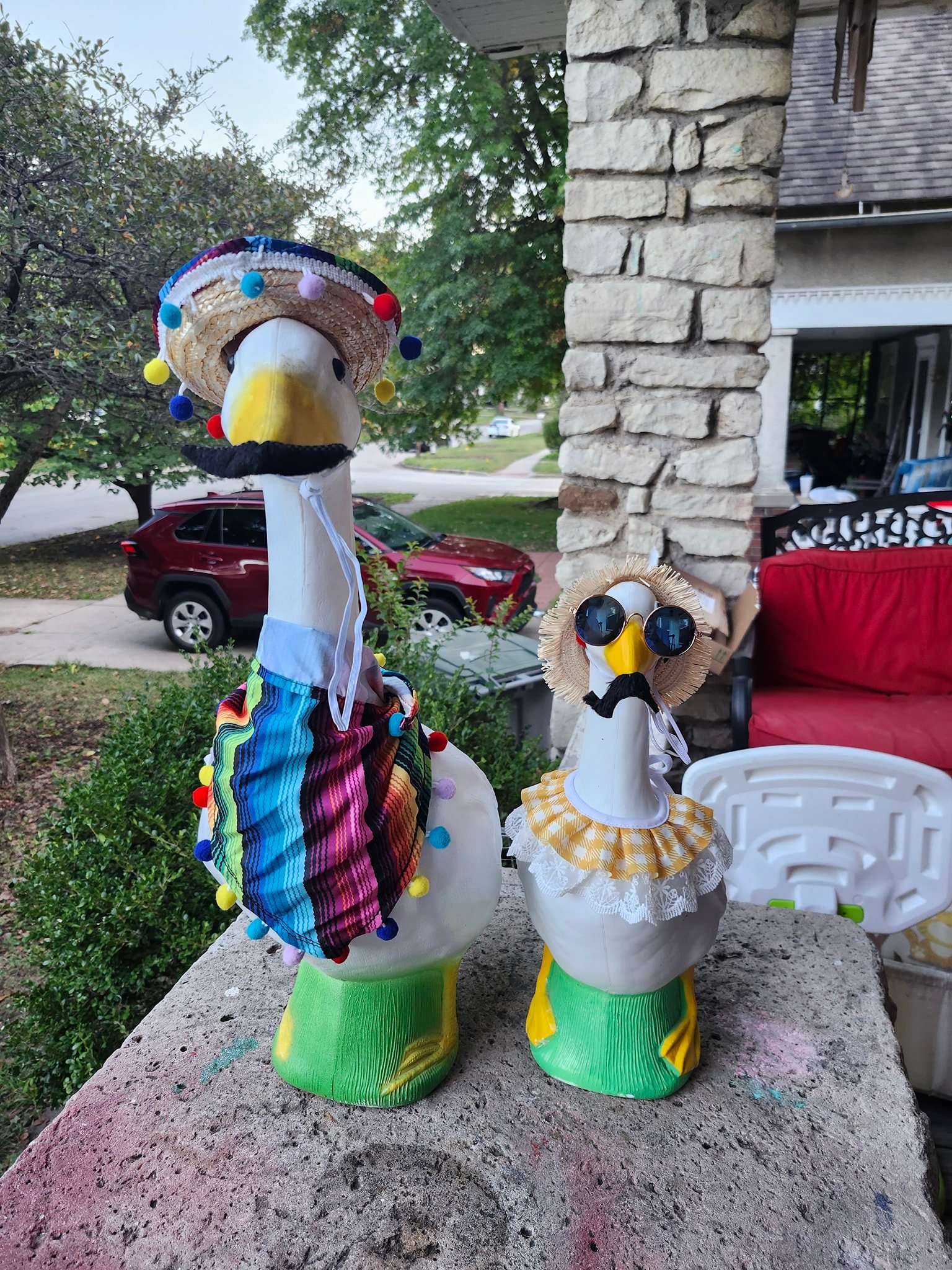 The Porch Goose Club of America | My daughter decided Cheese and ...