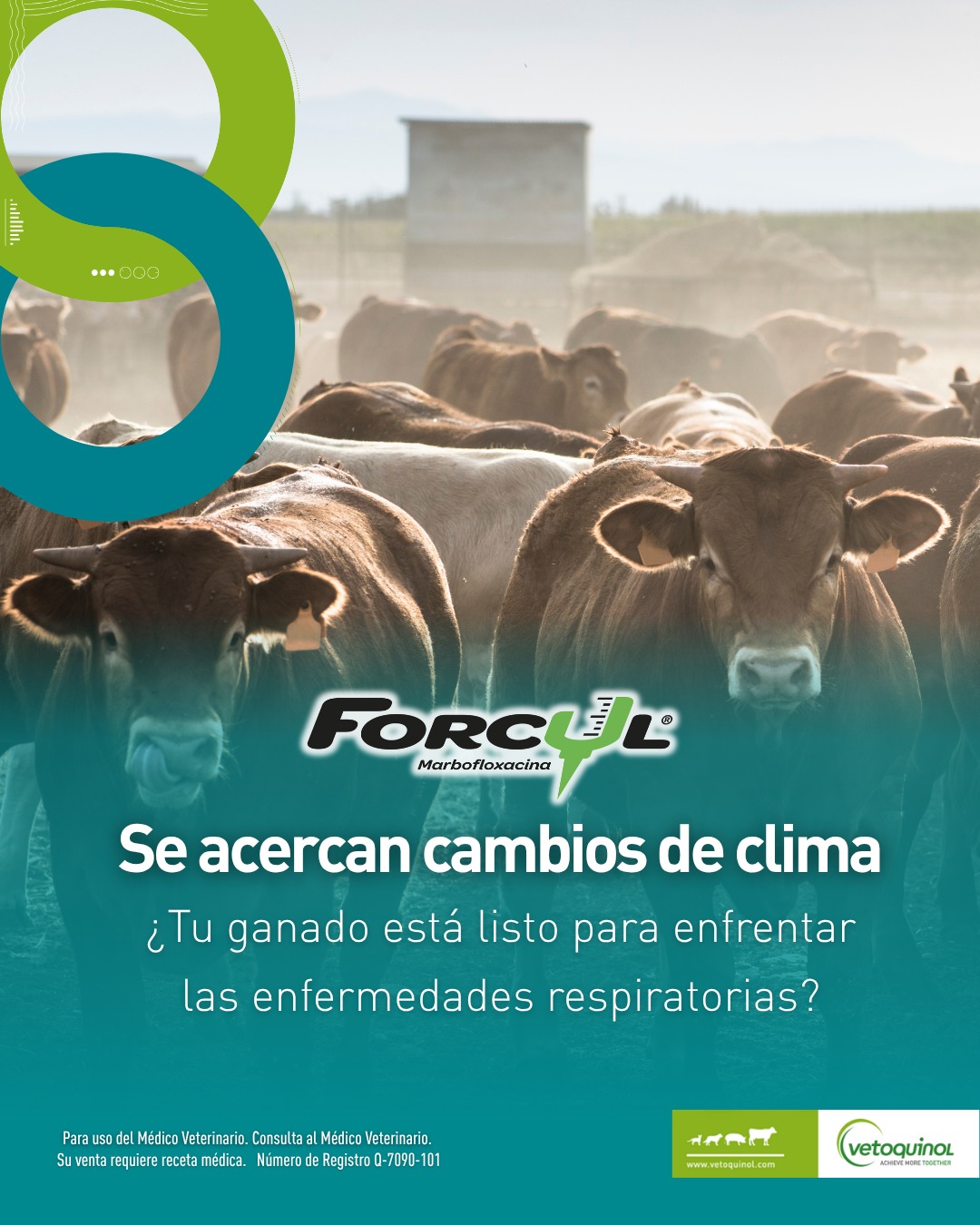 Vetoquinol - El cambio de estación trae frío… y con él, el riesgo de ...