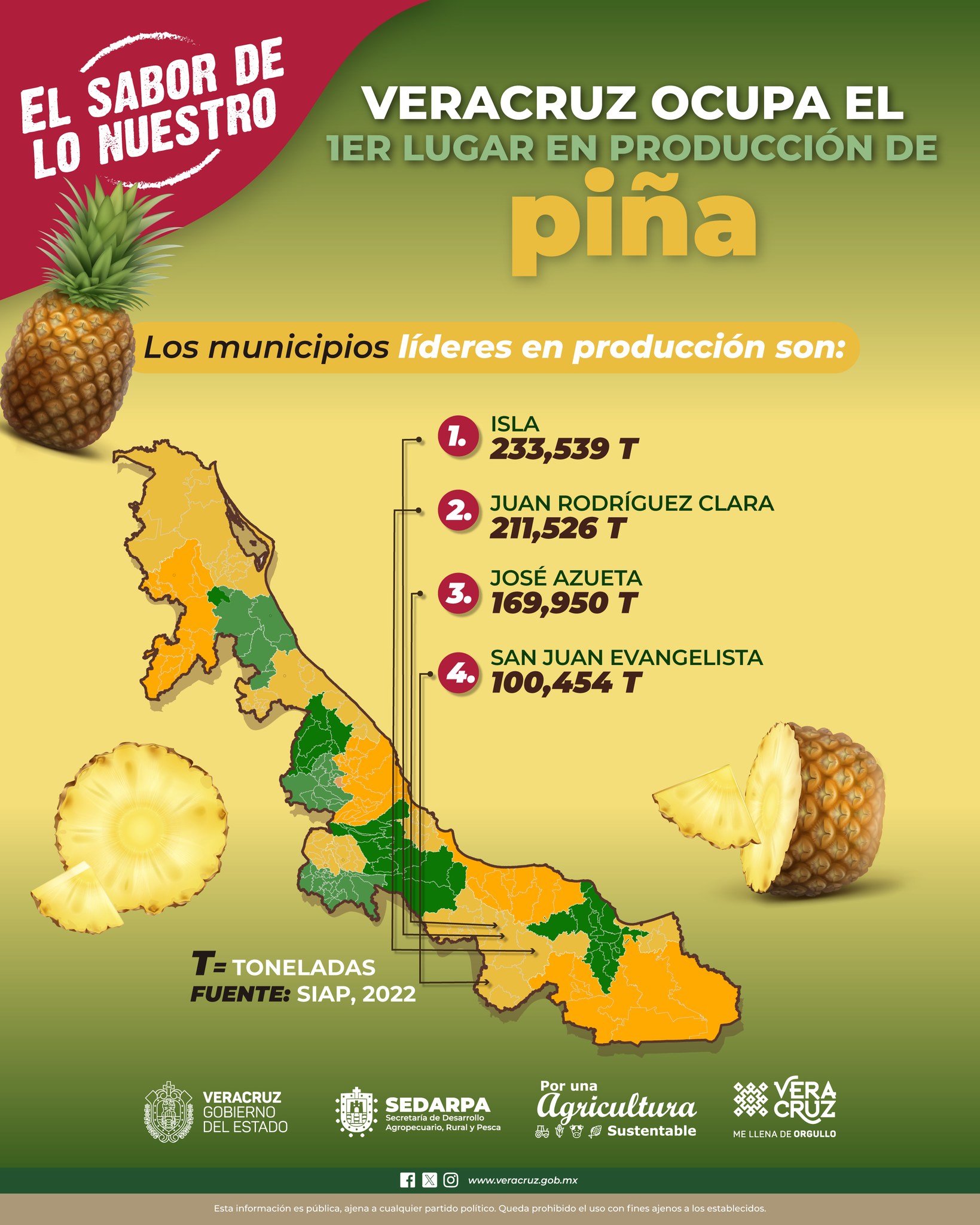 ¡En Veracruz están los mejores y mayores productores de #piña en el ...