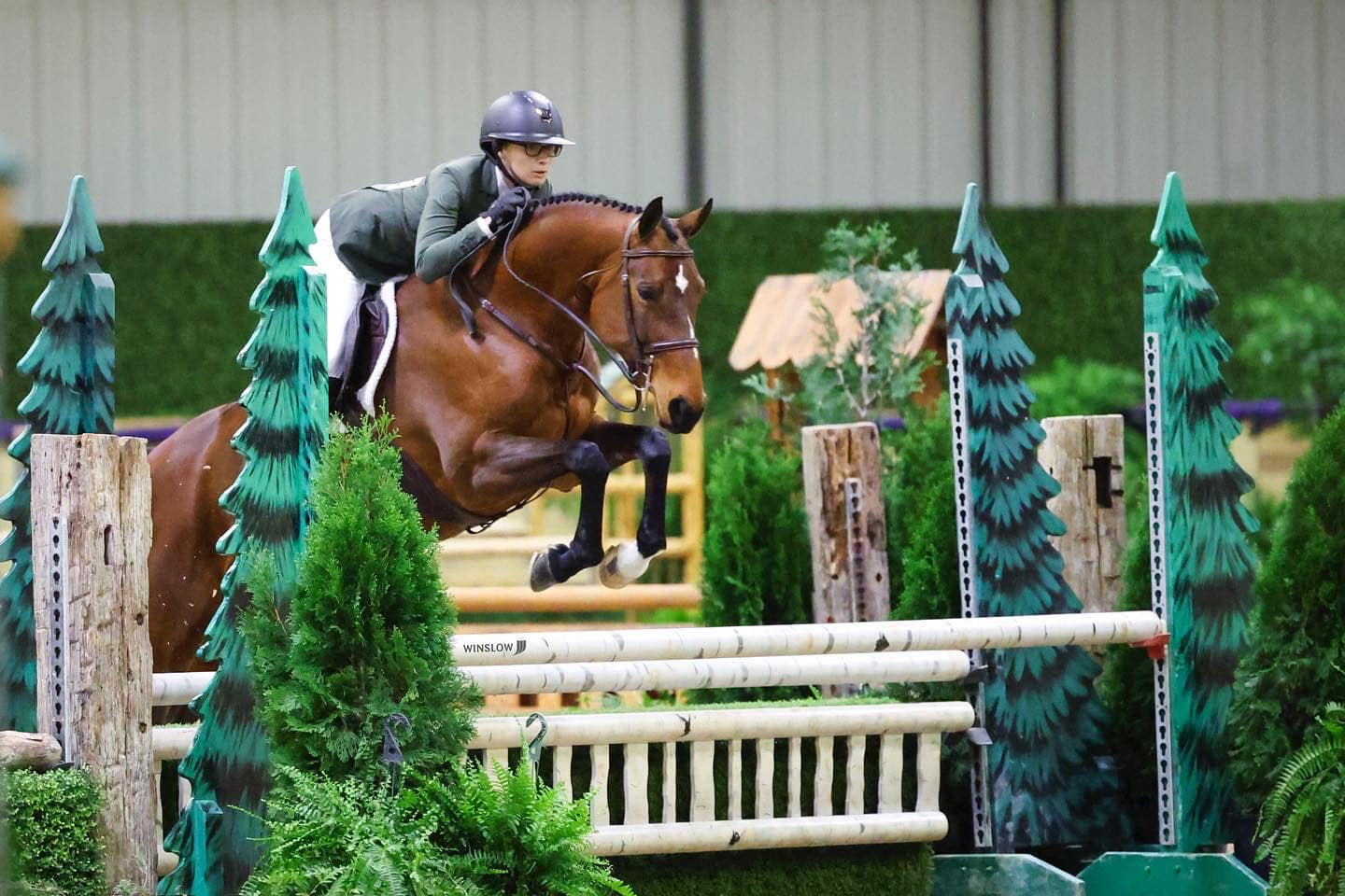 Azure Ridge Farm | Whitmore Lake MI