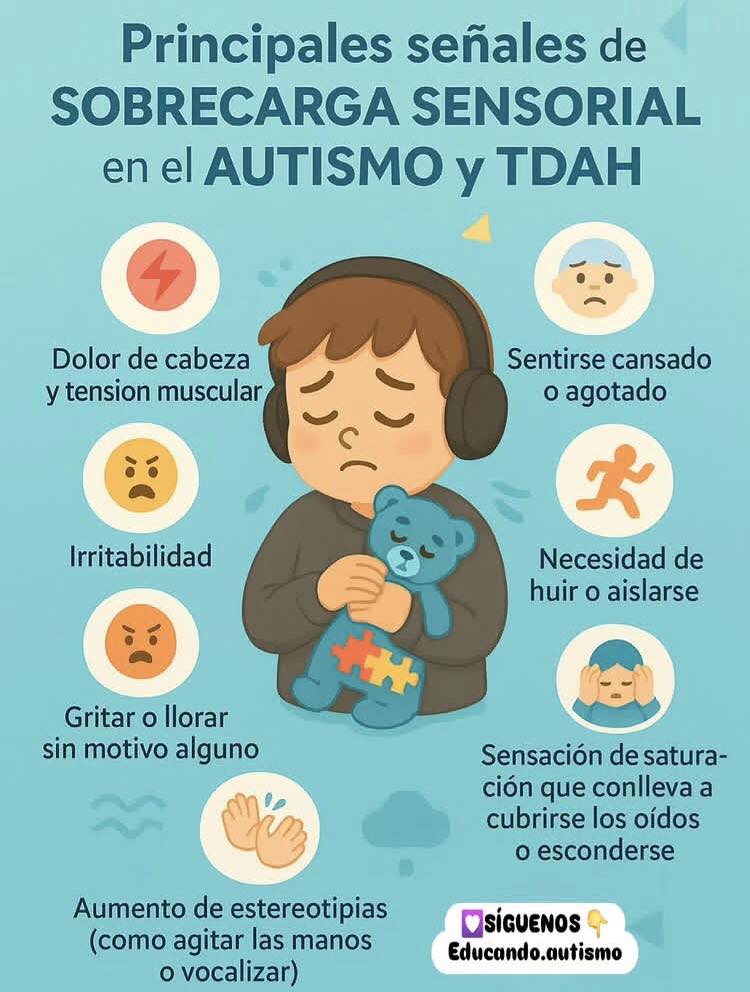 Maestra - Sobrecarga Sensorial 🤯 | Facebook