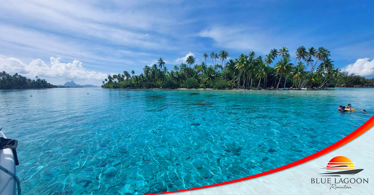 Plongez dans les merveilles du... - Raiatea Blue Lagoon | Facebook