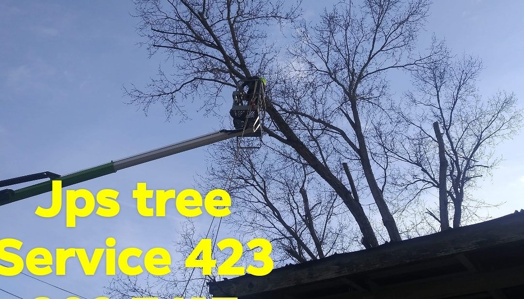 JP'S Tree Service | Kingsport TN