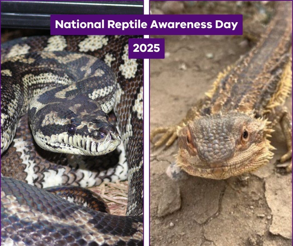Conservation - Victoria is home to a wide range of reptilian wildlife ...