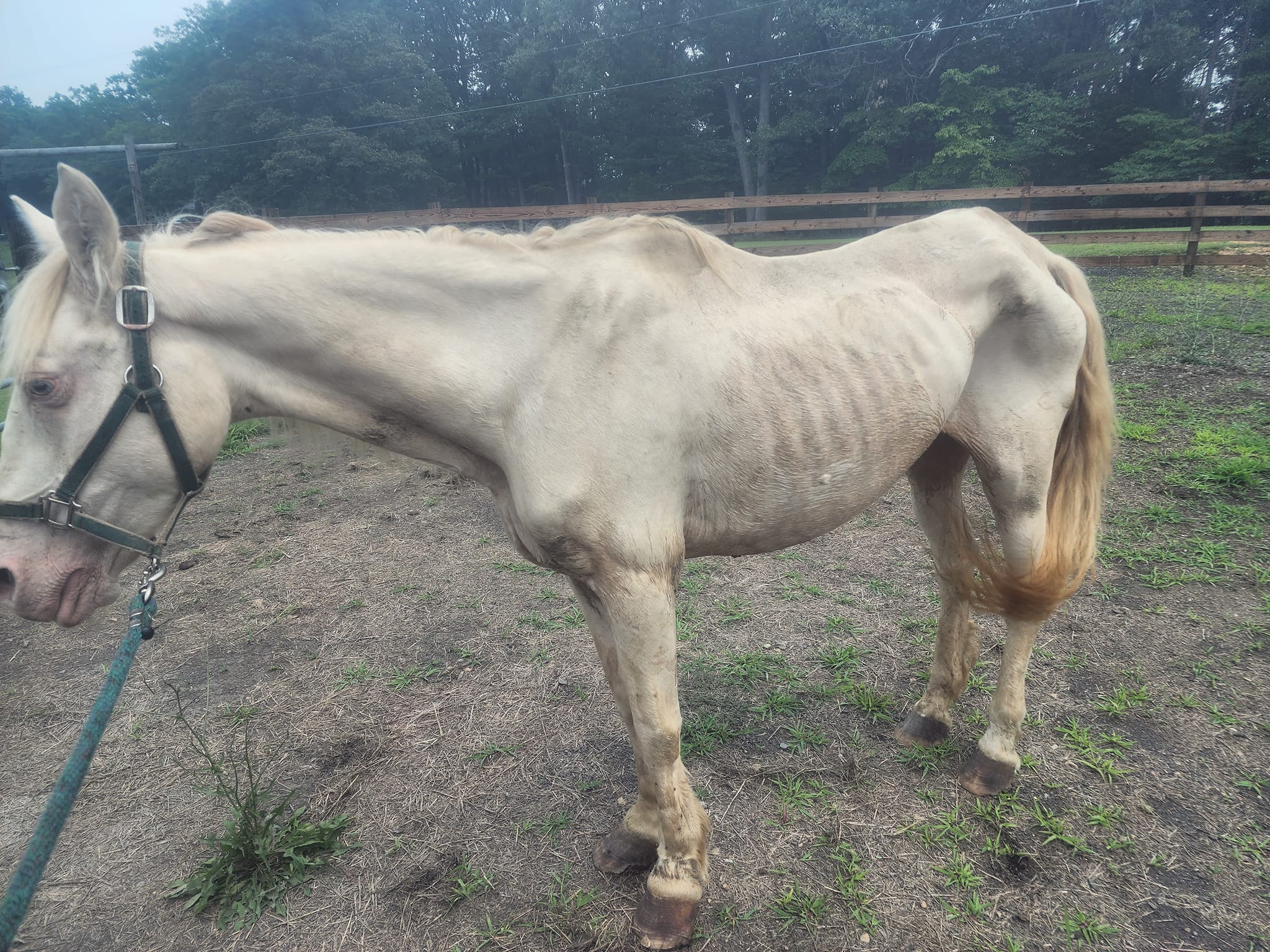 Cross Arrows Ranch