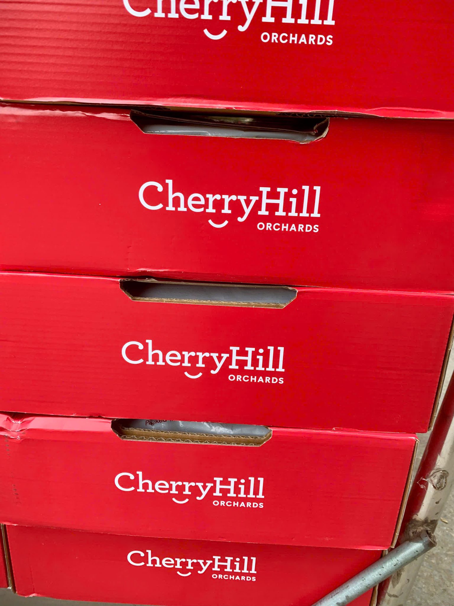 Nga Cherry