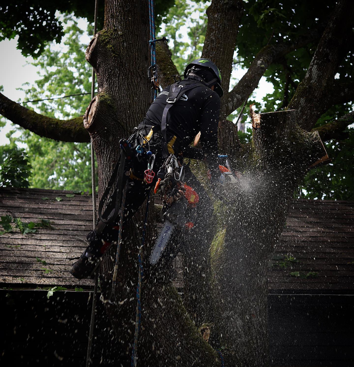Quality Performance Tree Service,LLC | Tulatin OR
