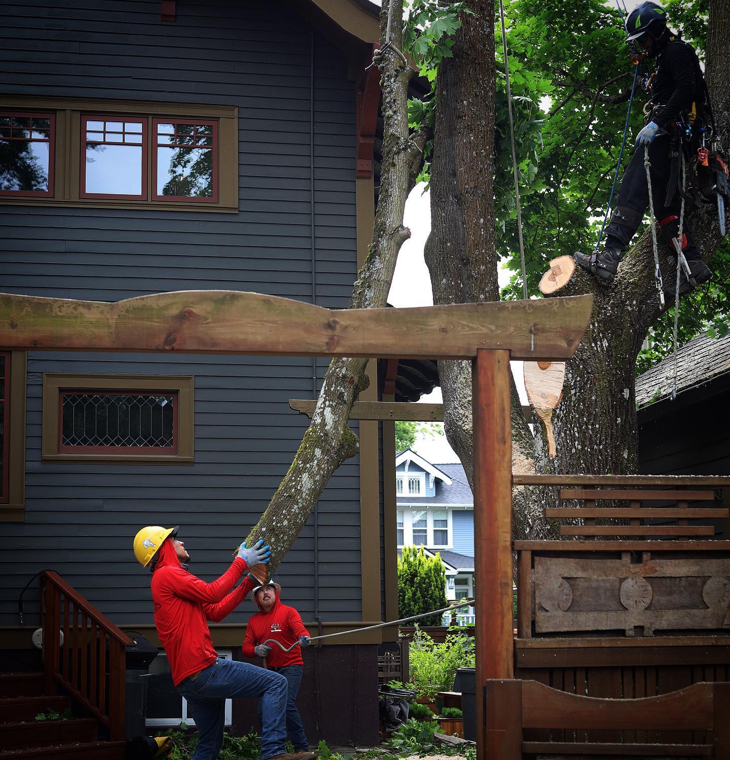 Quality Performance Tree Service,LLC | Tulatin OR