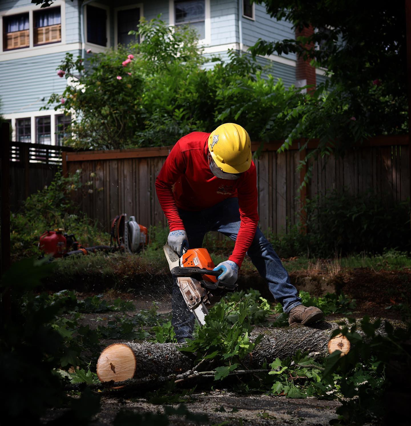 Quality Performance Tree Service,LLC | Tulatin OR