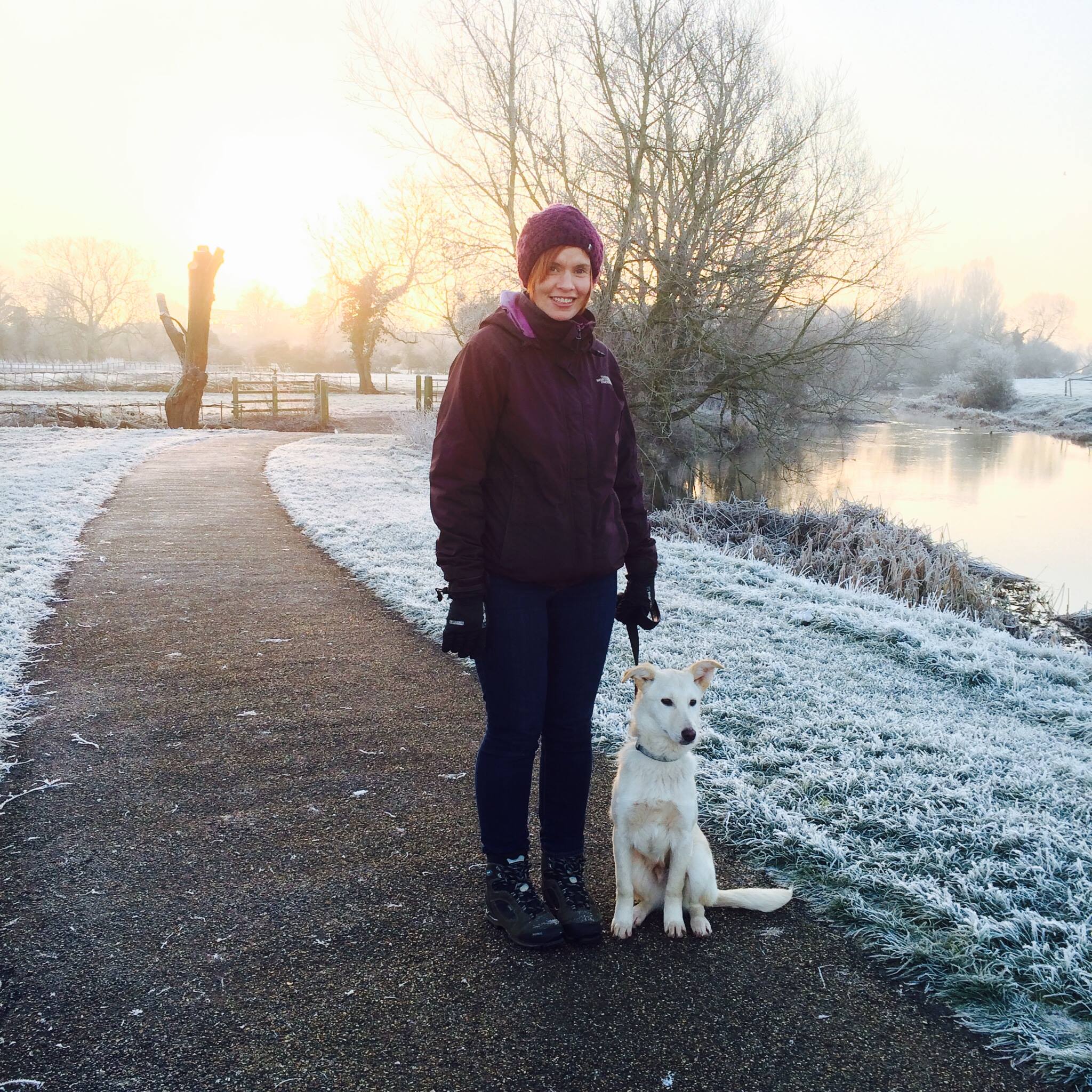 Lunchtime fun… #walkiespetmk #happydogs #dogfriends | Walkies Pet Services