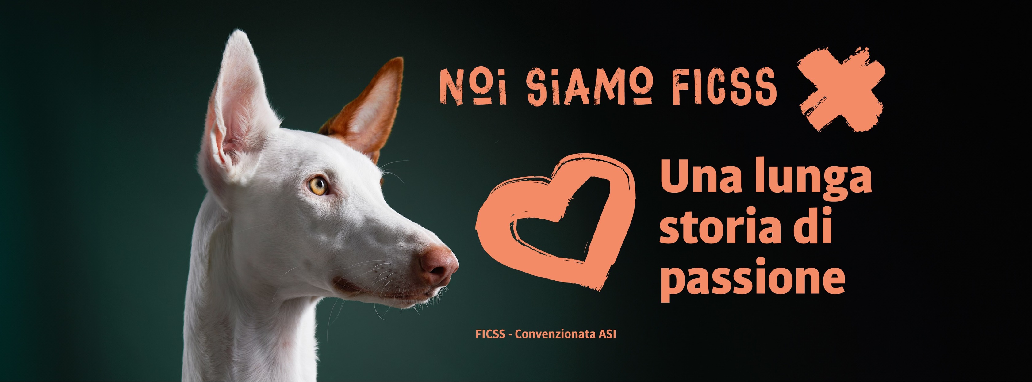 Cinofilia: Expo, Prove ENCI e schede delle razze canine - Il Campione ...