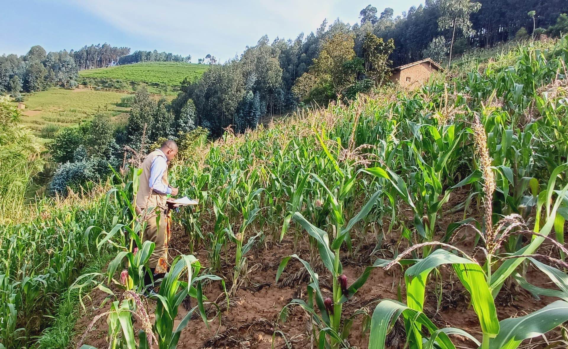 Rwanda Development Organization - RDO | Kigali