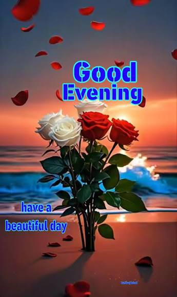 Good evening friends 🤩😘 (18/11/2025)😍🥰🤩