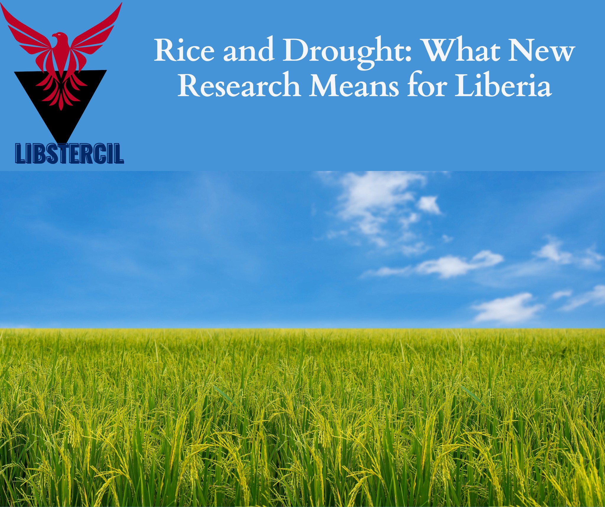 Liberia Scientific and Technological Research Council