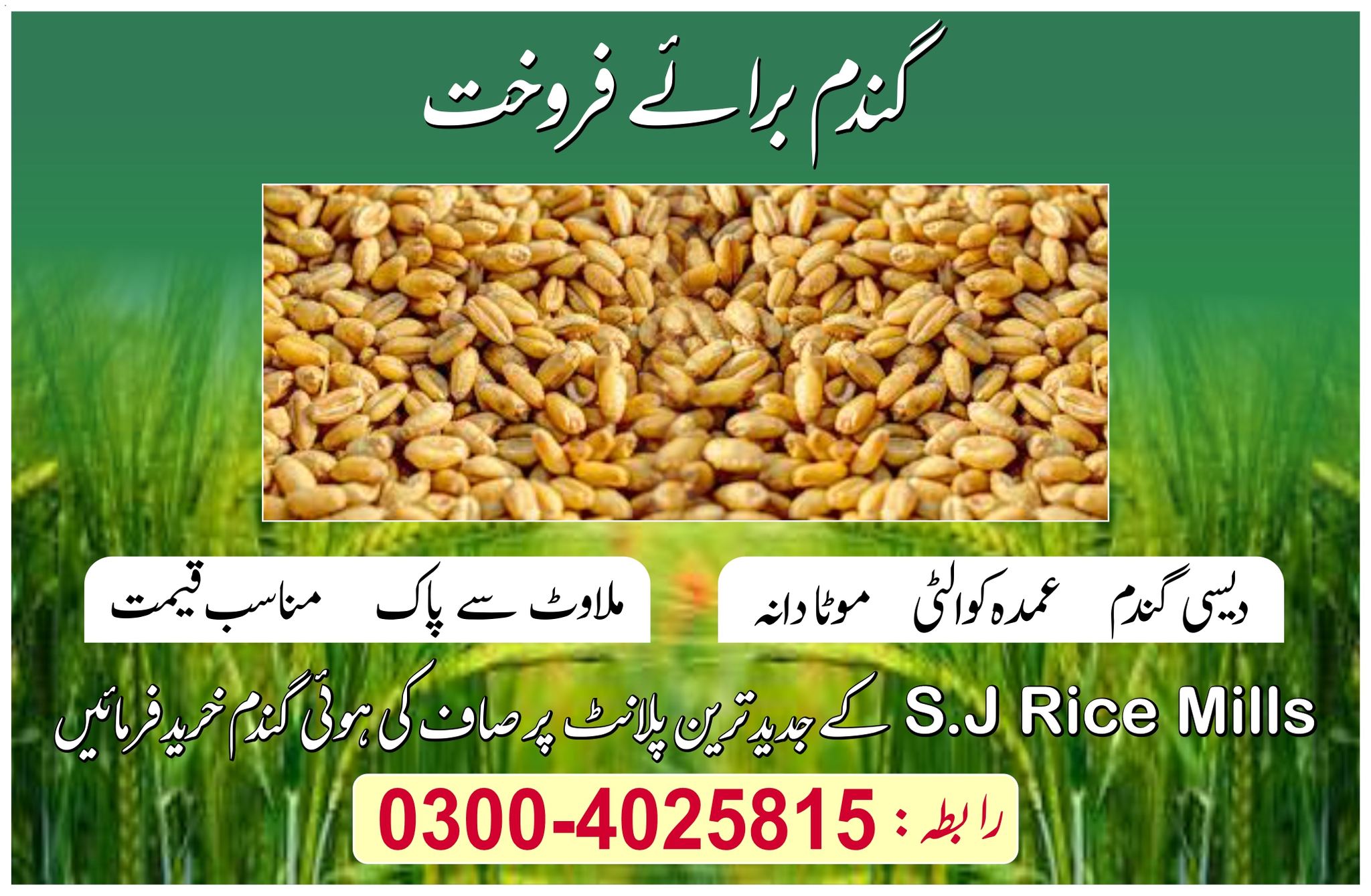 Narang's Basmati Rice | Lahore