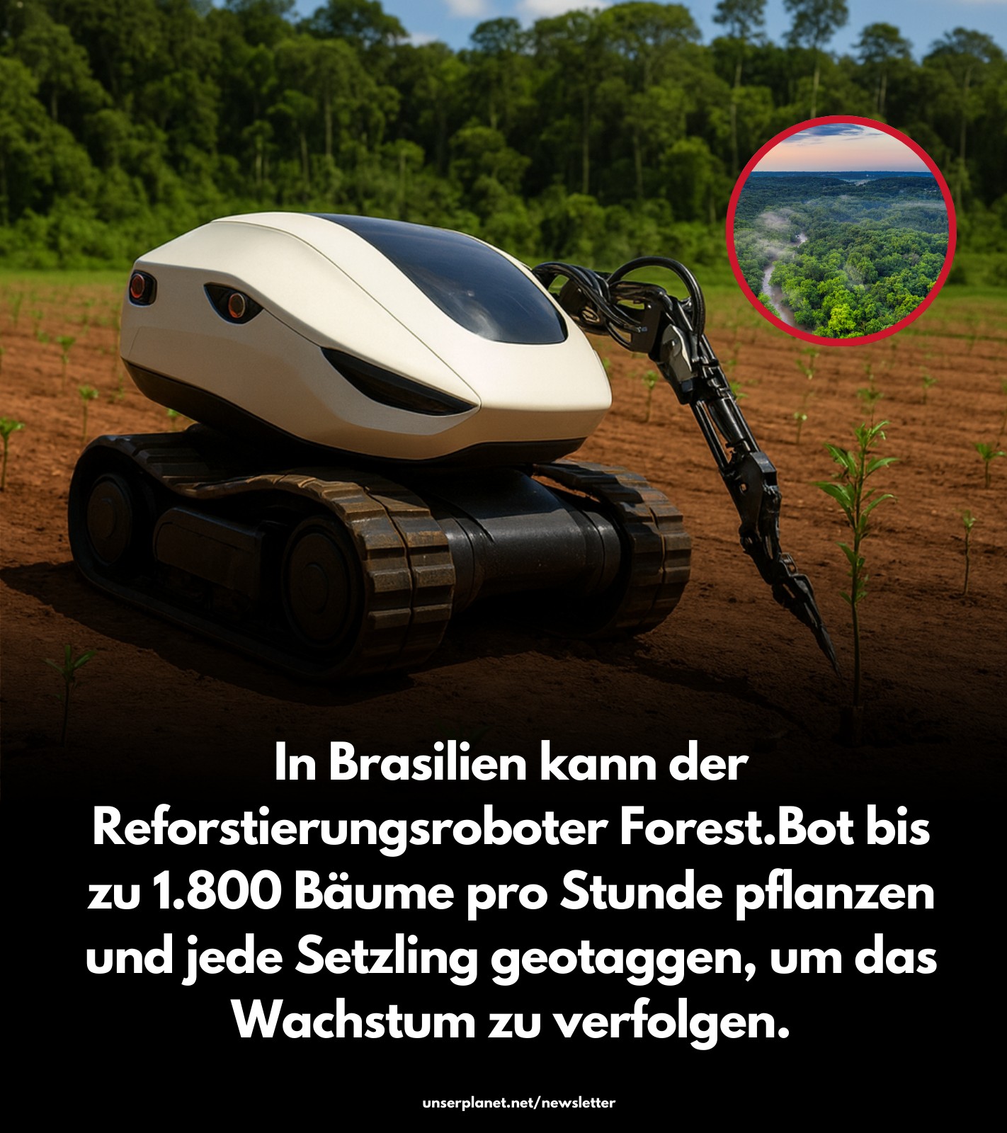 Nachhaltig - In Brasilien wurde Forest.Bot vorgestellt –... | Facebook