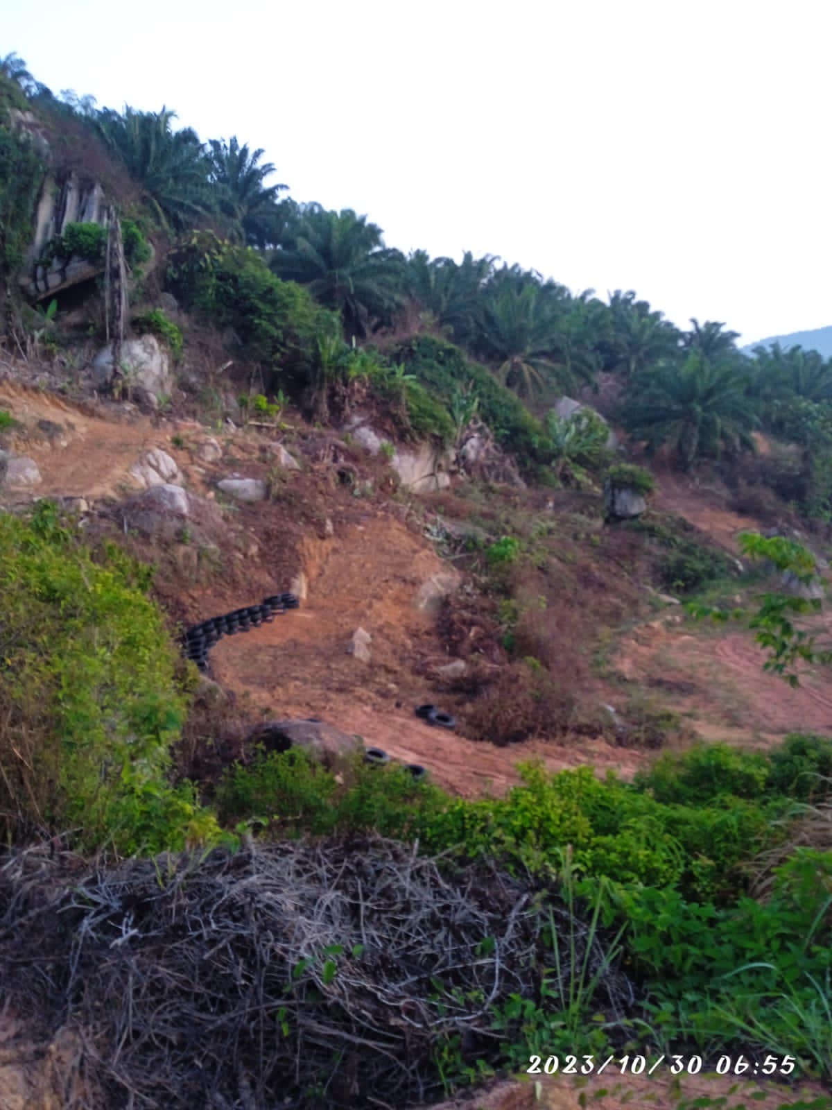 Tampin Keru Durian Farm Resort | Tampin Village