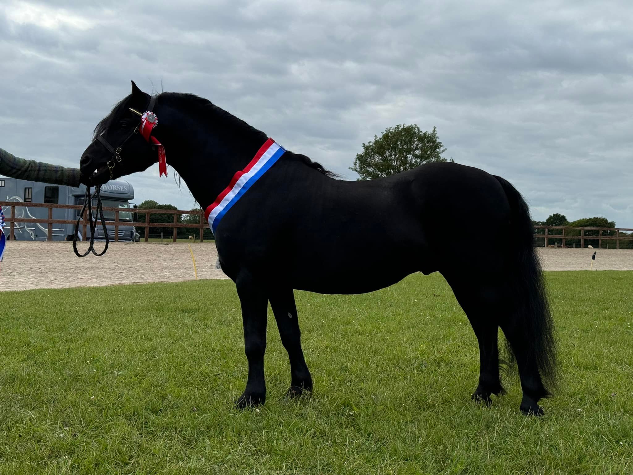 Shilstone Rocks Stud -Dartmoor Riding - Chittleford Farm