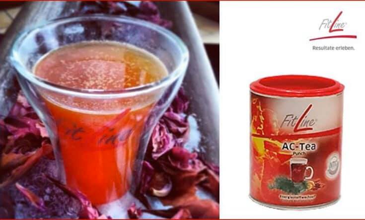 FitLine AC-Tea Punch & Activize 2個セット PMフィットライン 