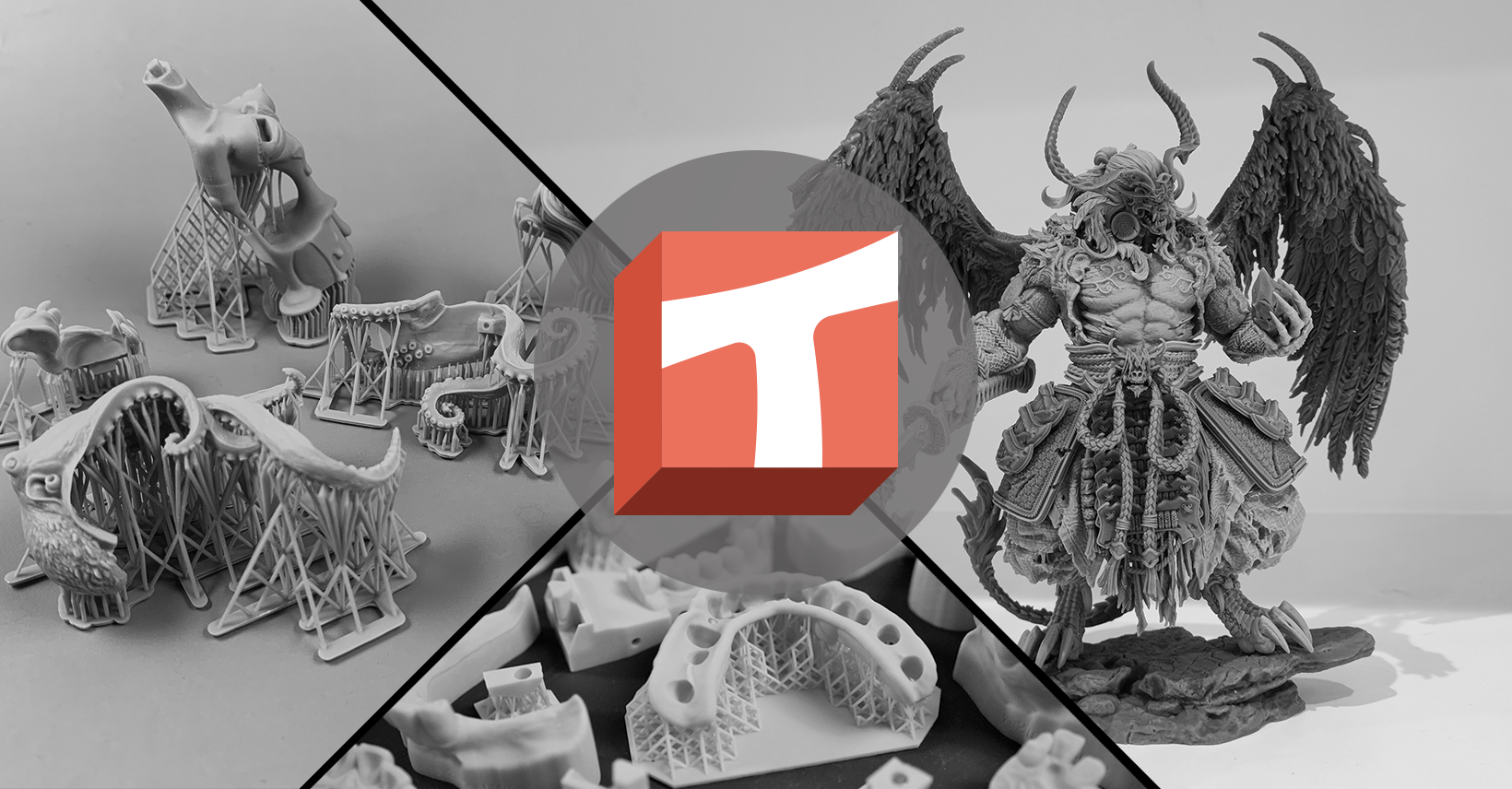 Voxeldance Tango Slicer Software Users | Ok I got an odd one, I am ...