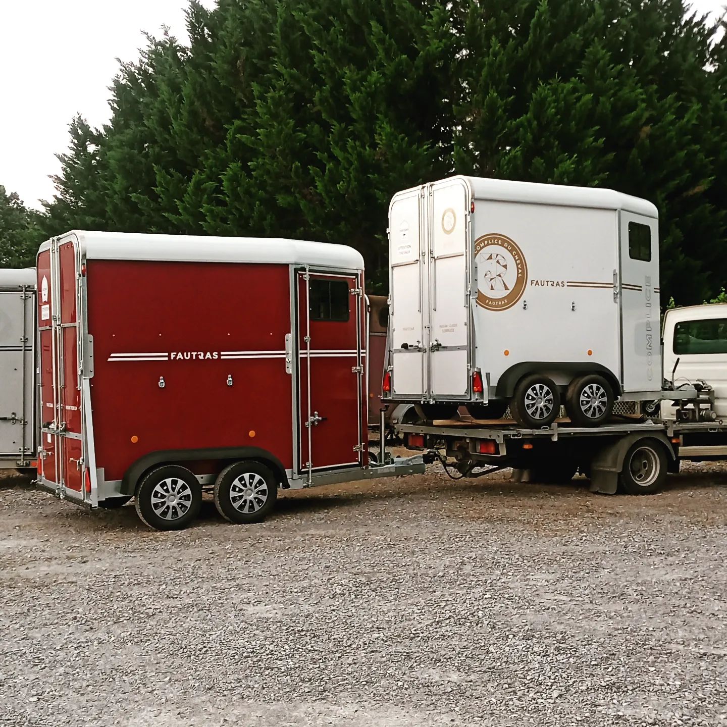 Fautras 64 - 40 - 65 Pyrénées remorques - ️Ils viennent d'arriver ️ 👉 ...