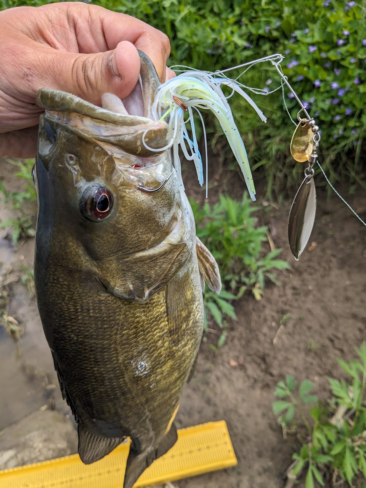 allegheny river bass lures Ultimate Bundle This Lure SAVED My Day