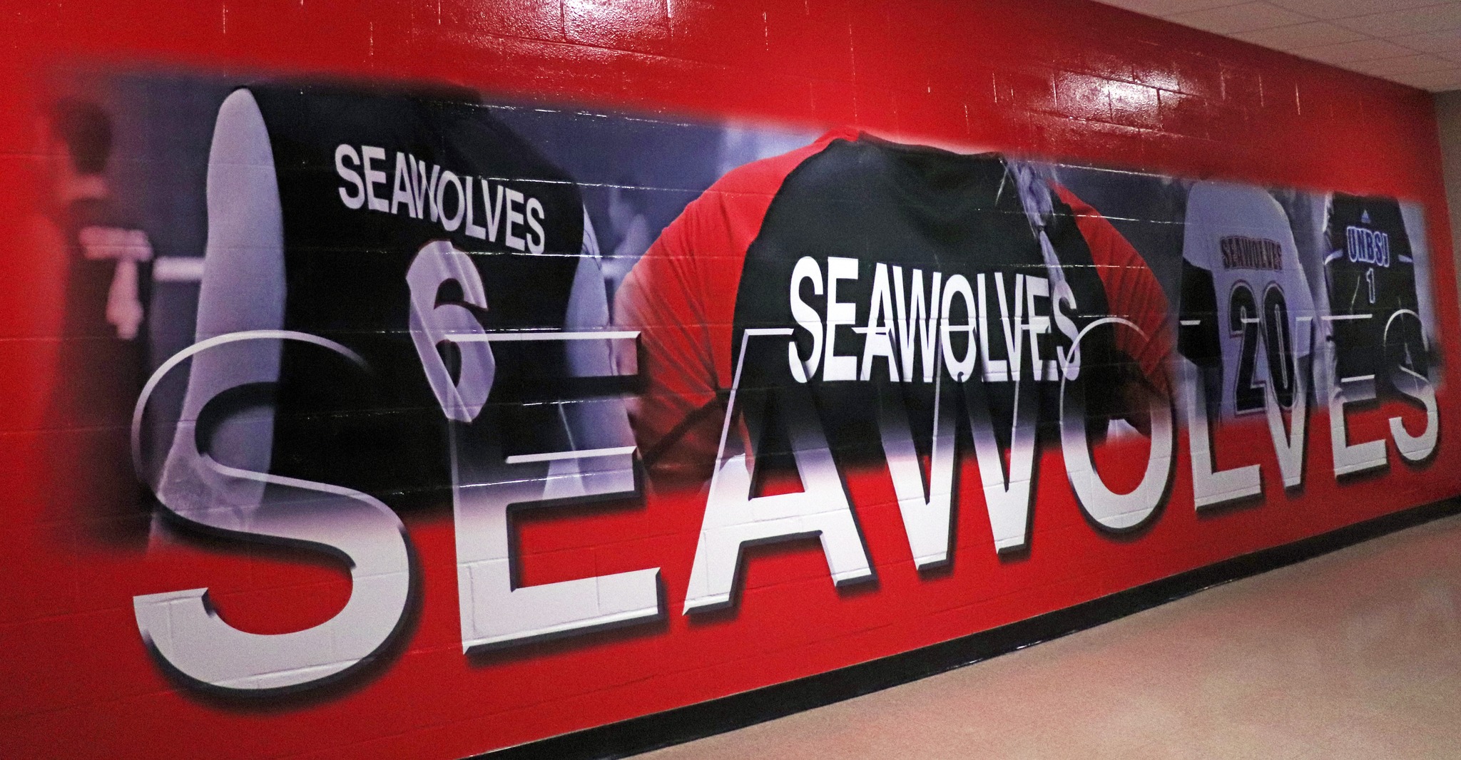 CCAA - ACSC Announces the... - UNB Saint John Seawolves