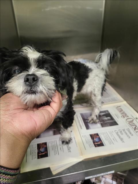 OPCA Shelter Network Alliance - ★ ★ADOPTED★ ★ – Per OPCA’s confirmation ...
