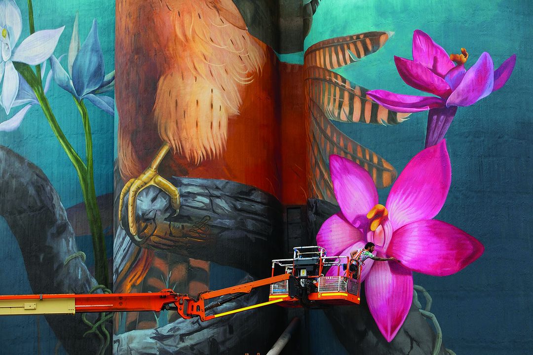 Visit Grampians - The Silo Art Trail is Australia's...