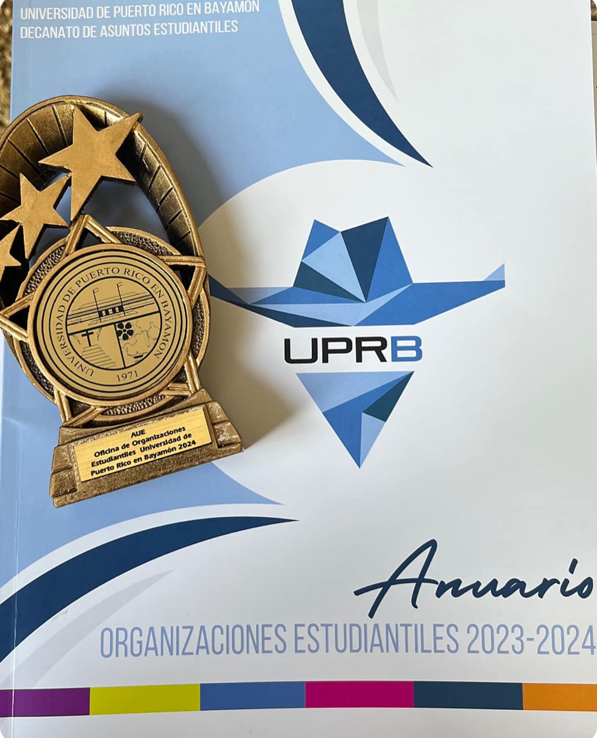 Asociación Universitaria de Enfermería - UPRB